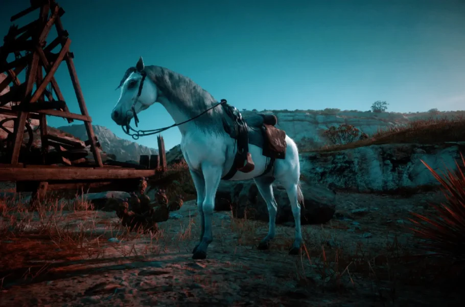 راهنمای کامل مکان اسب های بازی رد دد 2