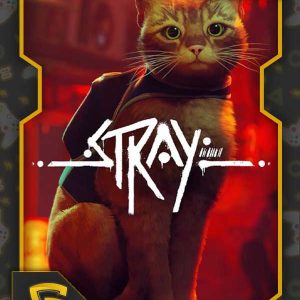 خرید اکانت قانونی stray